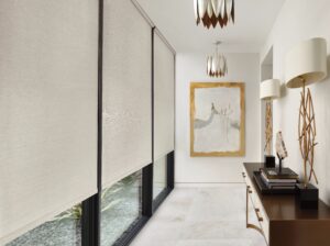 Floor to ceiling windows in front foyer with Designer Screen Shades installed