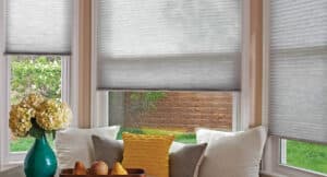 couch with cushions and Hunter Douglas Applause honeycomb shades in the background