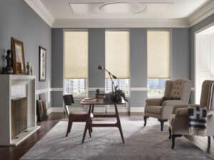 Living room with grey walls and Hunter Douglas Applause honeycomb shades on windows