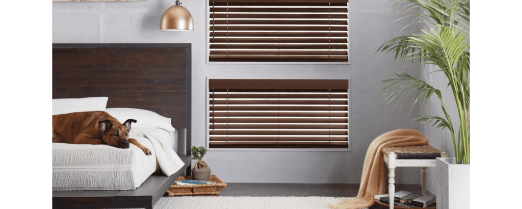 Automated Blinds